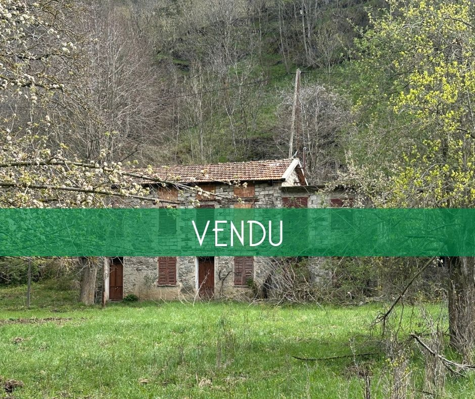 Agence immobilière de PALM IMMO